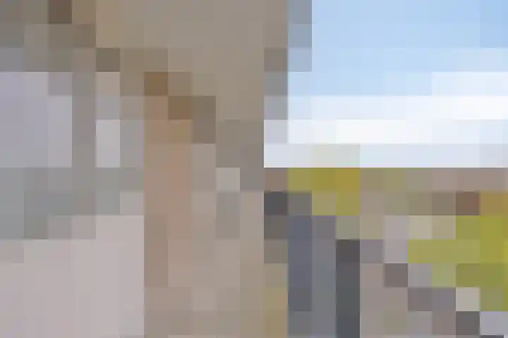 Antwerpenstraat 538 Breda thumbnail 8