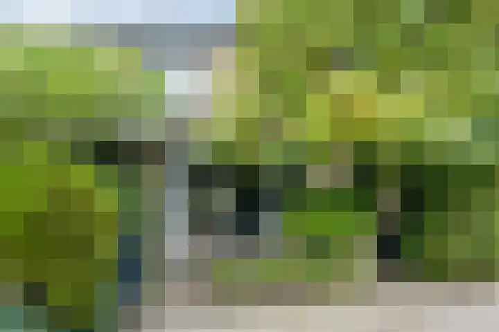 Antwerpenstraat 580 C Breda thumbnail 10