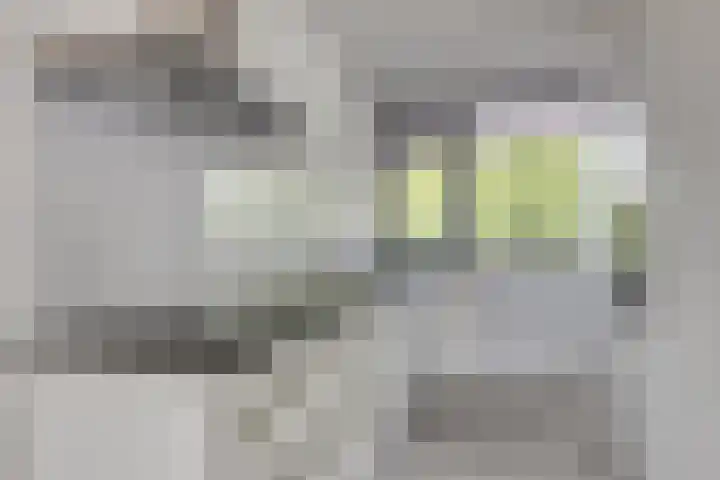 Antwerpenstraat 584 B Breda thumbnail 16
