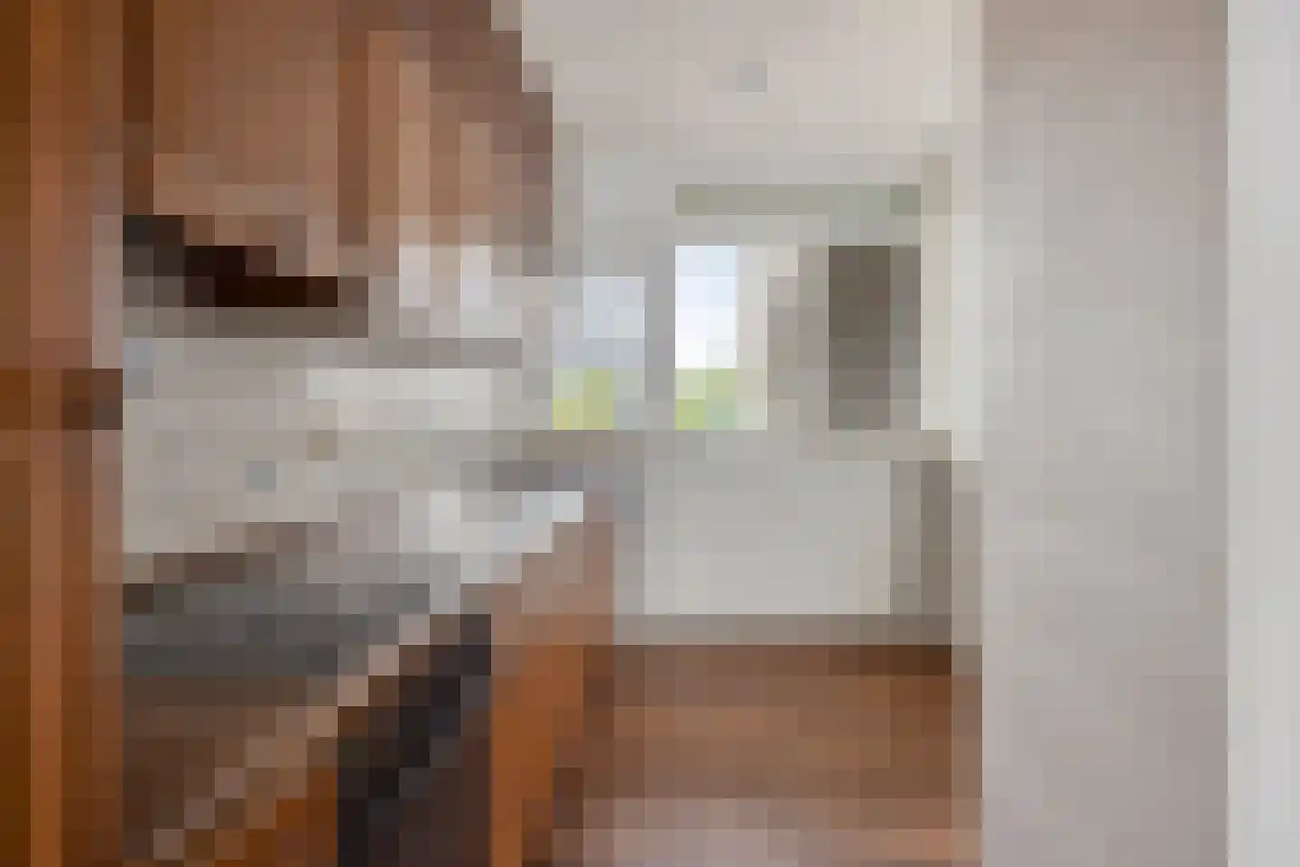 Antwerpenstraat 600 A Breda thumbnail 17