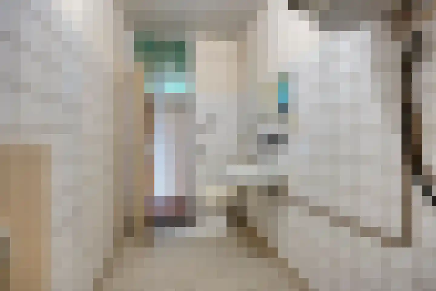 Antwerpenstraat 600 A Breda thumbnail 25