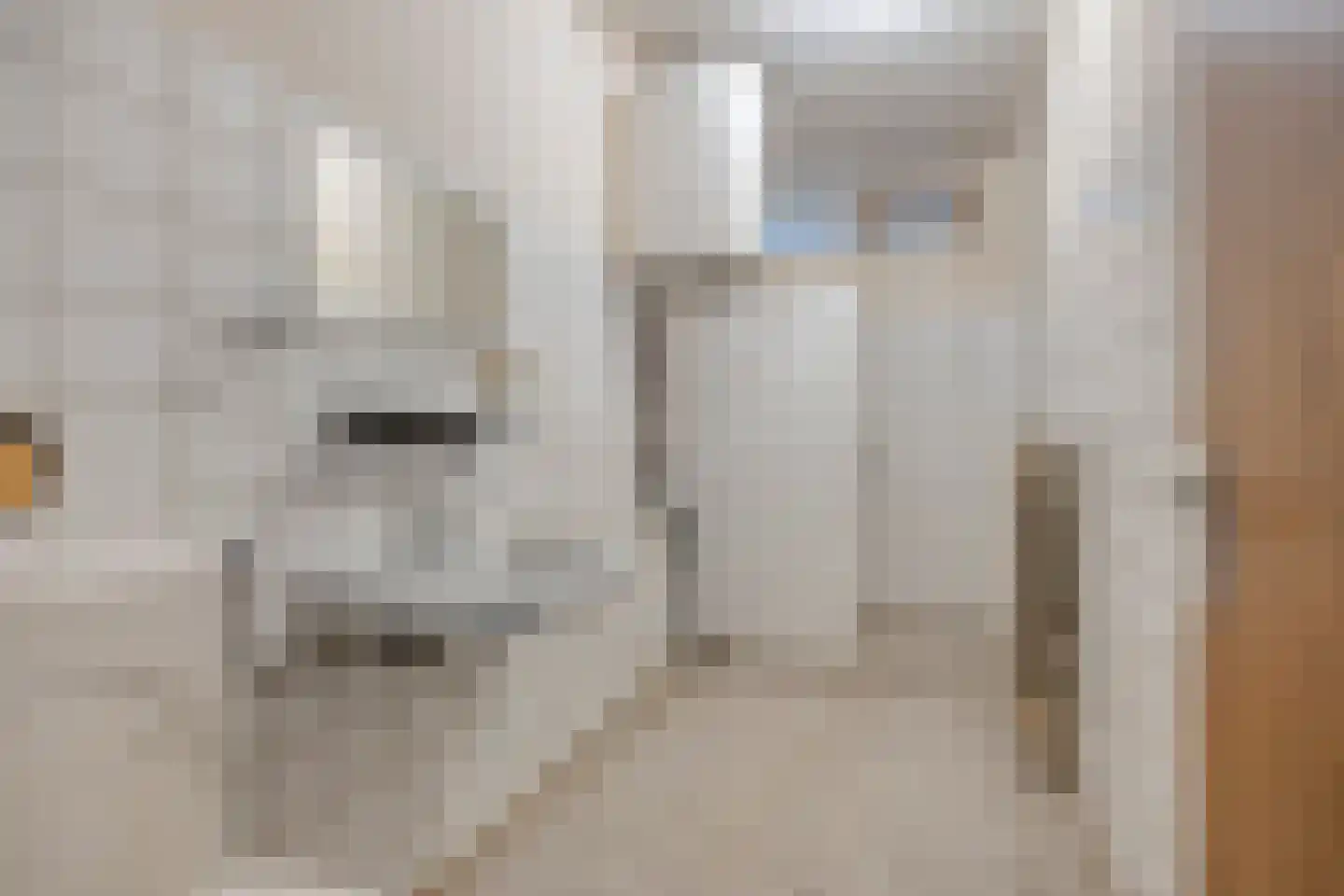 Antwerpenstraat 600 A Breda thumbnail 27