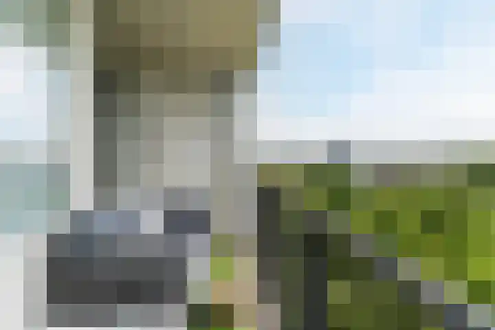 Antwerpenstraat 86 Breda foto 2