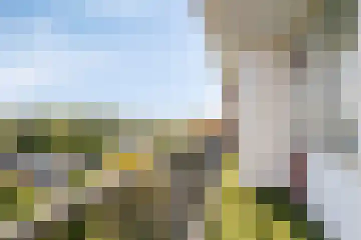 Antwerpenstraat 88 Breda thumbnail 5