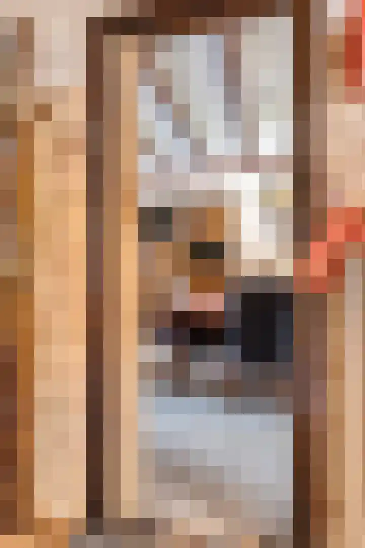 Antwerpenstraat 91 Breda thumbnail 5
