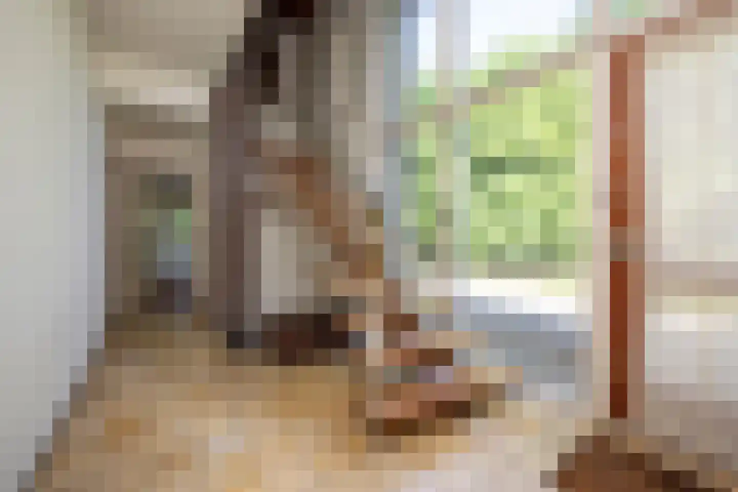 Antwerpse Baan 1 Helvoirt thumbnail 16