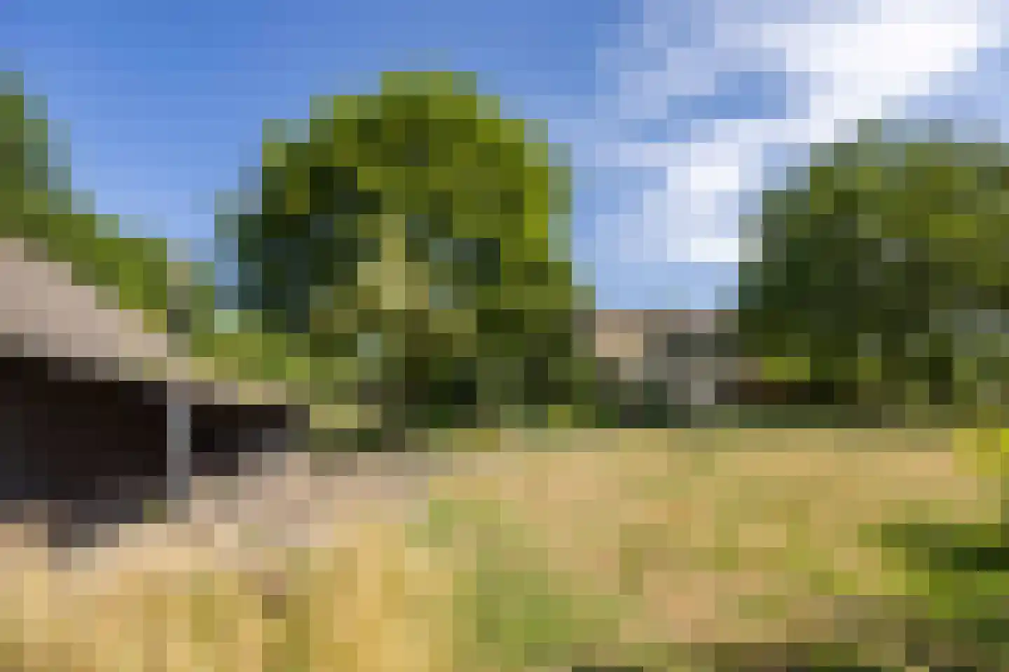 Antwerpse Baan 1 Helvoirt thumbnail 28