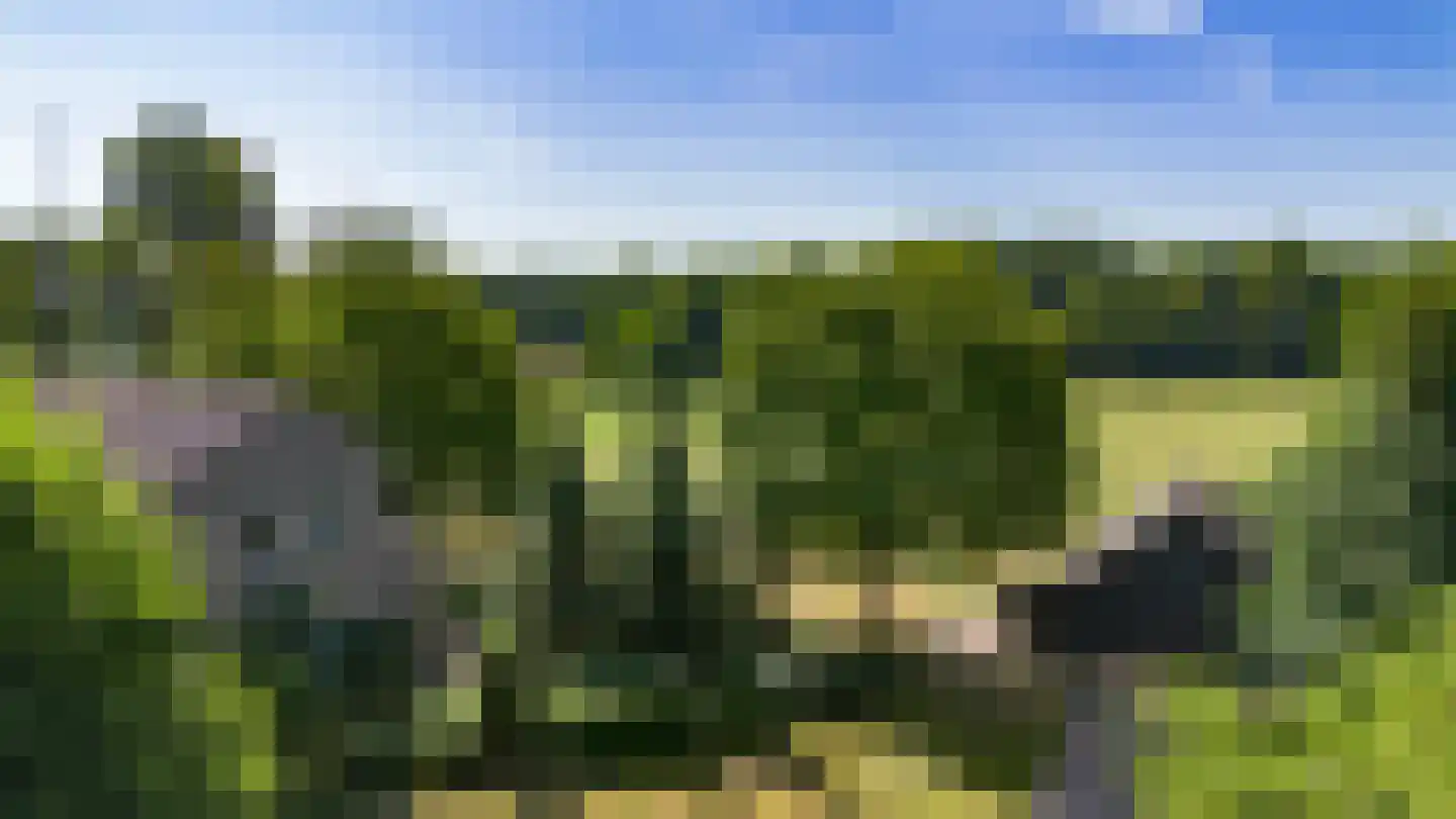 Antwerpse Baan 1 Helvoirt thumbnail 30