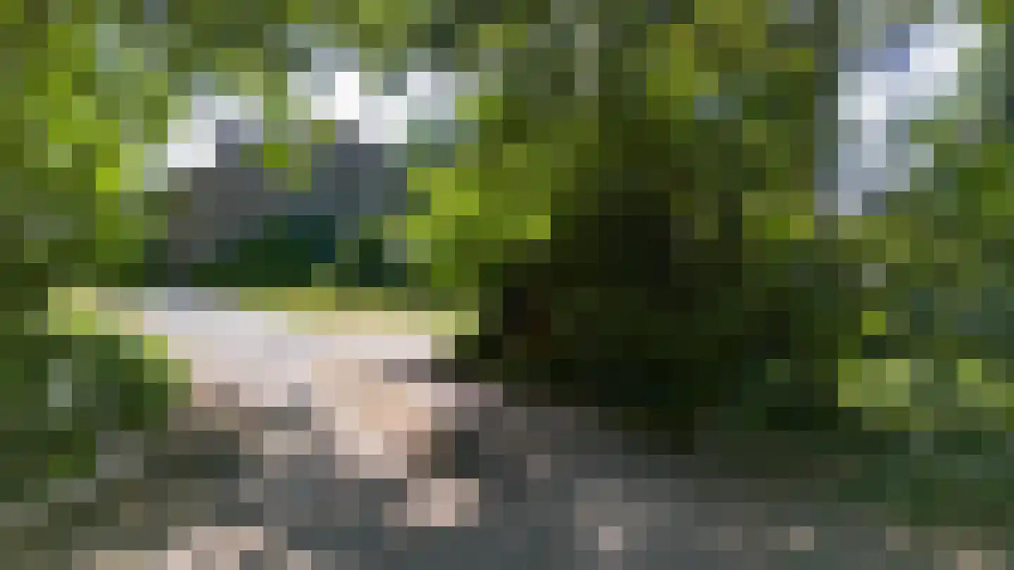 Antwerpse Baan 1 Helvoirt thumbnail 33