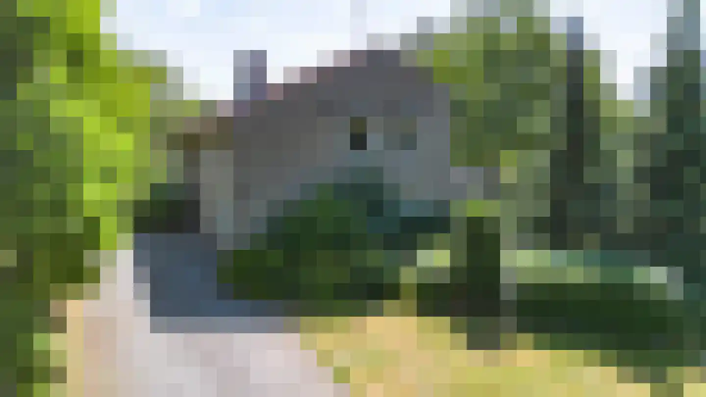 Antwerpse Baan 1 Helvoirt thumbnail 34