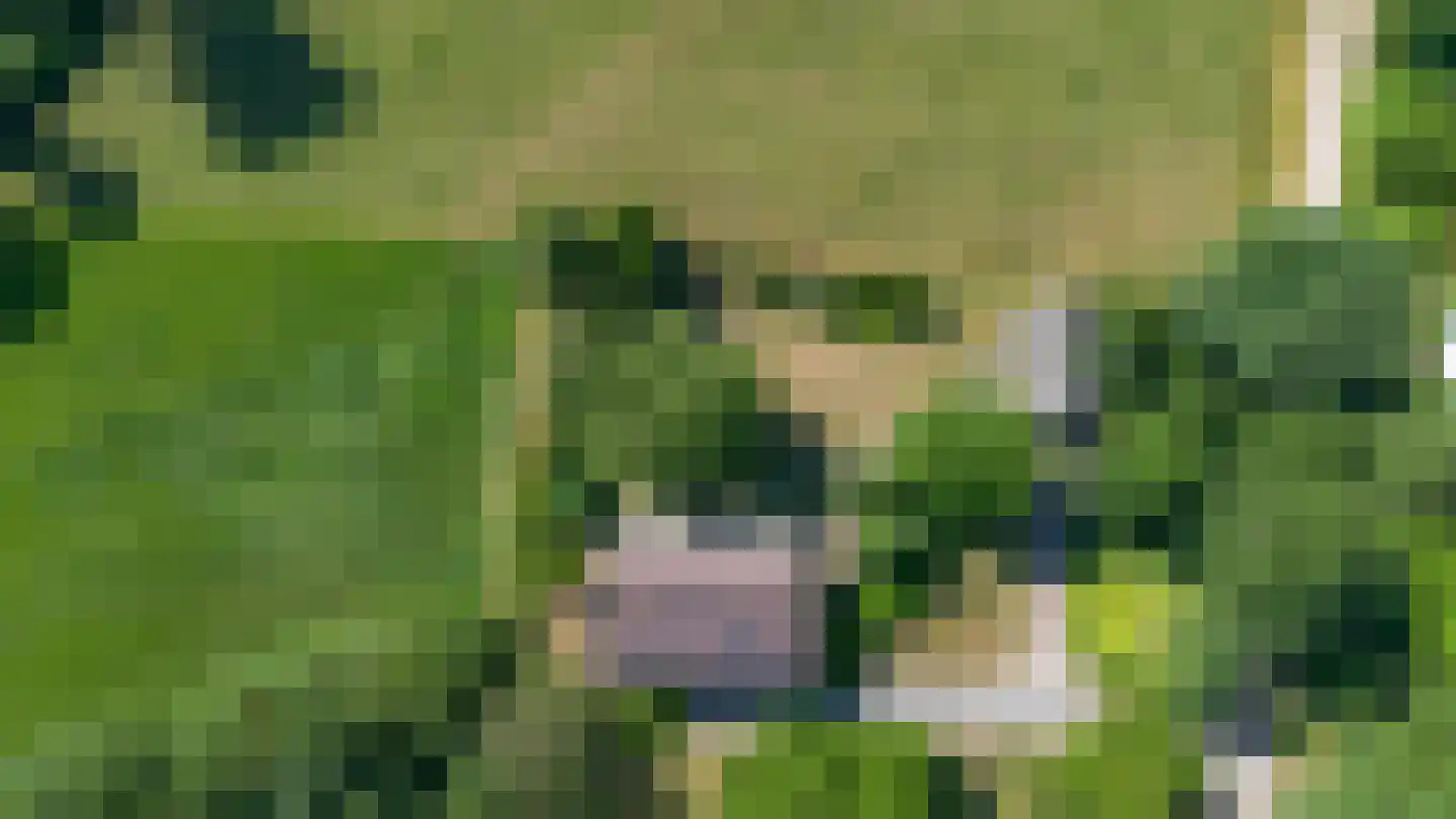 Antwerpse Baan 1 Helvoirt thumbnail 37