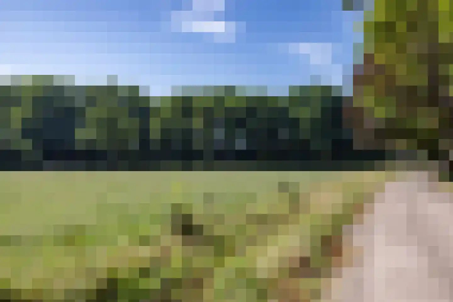 Antwerpse Baan 1 Helvoirt thumbnail 38