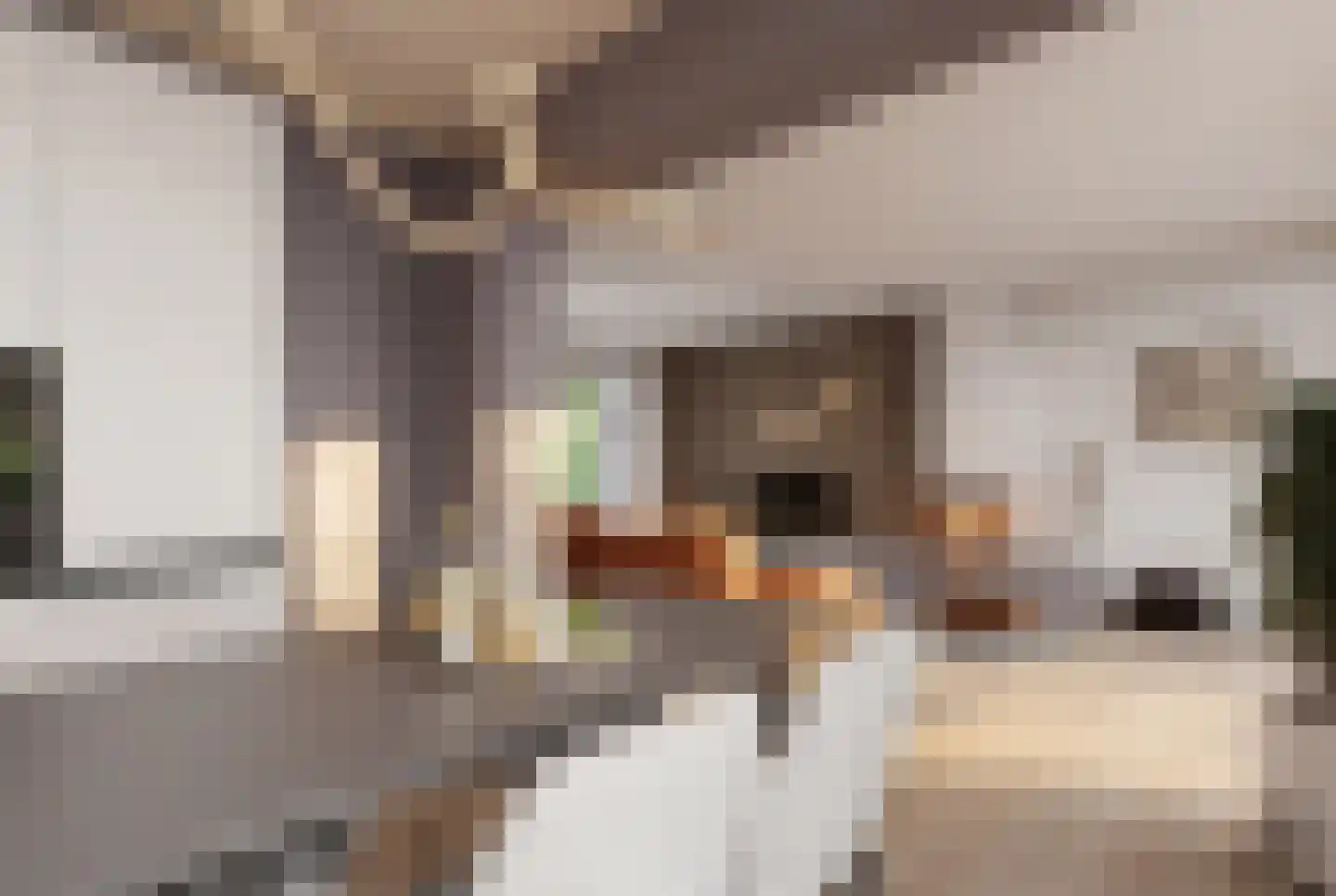 Antwerpse Baan 1 Helvoirt thumbnail 6