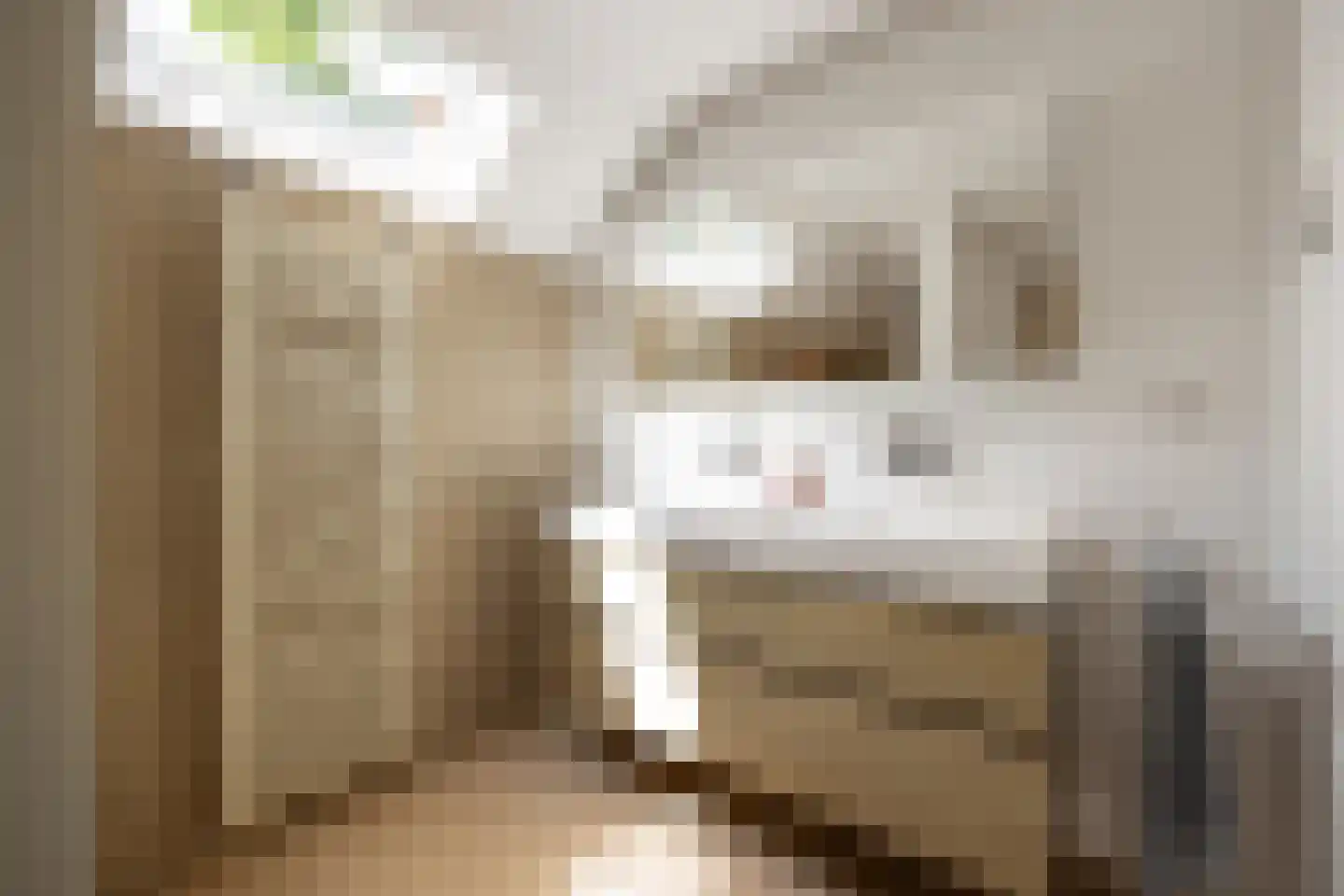 Antwerpse Baan 6 a Helvoirt thumbnail 18