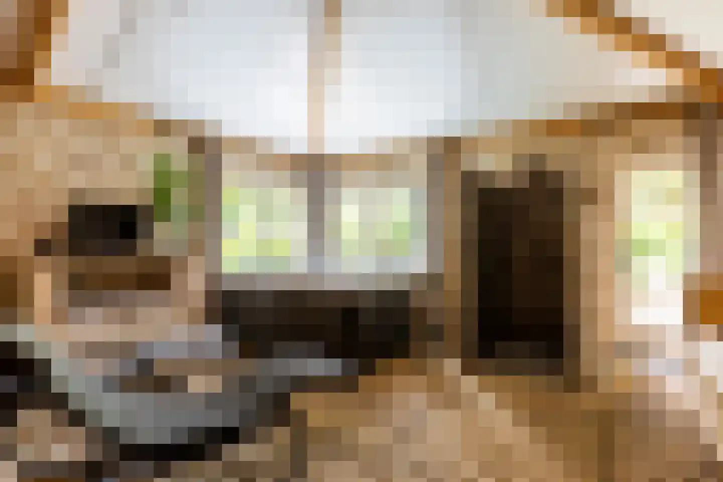 Antwerpse Baan 6 a Helvoirt thumbnail 34