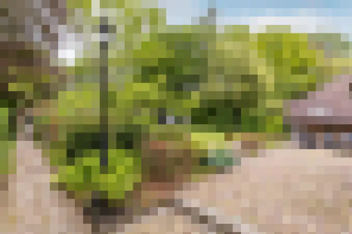 Antwerpse Baan 6 a Helvoirt thumbnail 43