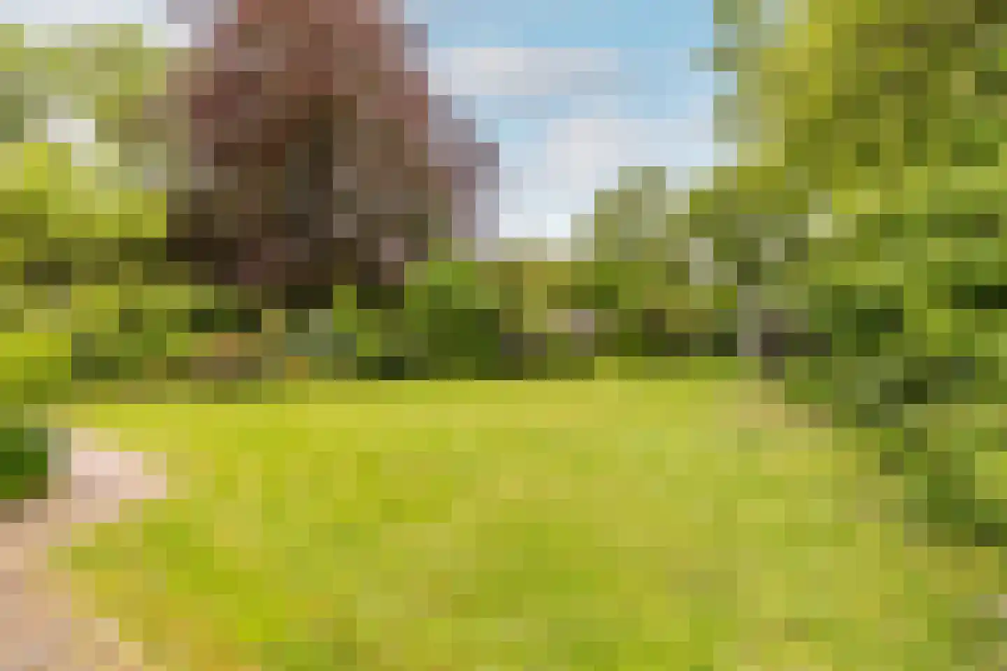 Antwerpse Baan 6 a Helvoirt thumbnail 50