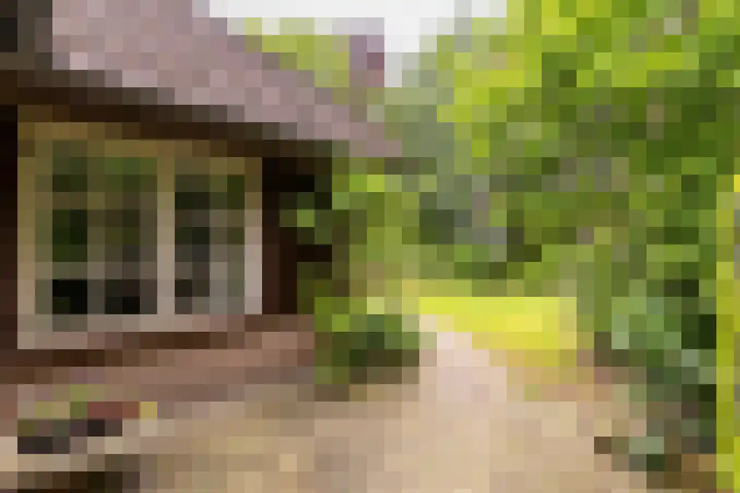 Antwerpse Baan 6 a Helvoirt thumbnail 53