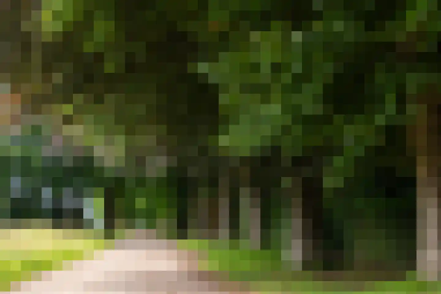 Antwerpse Baan 6 a Helvoirt thumbnail 59