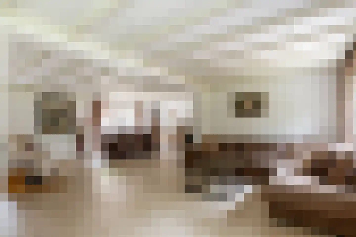 Antwerpse Baan 6 a Helvoirt thumbnail 6