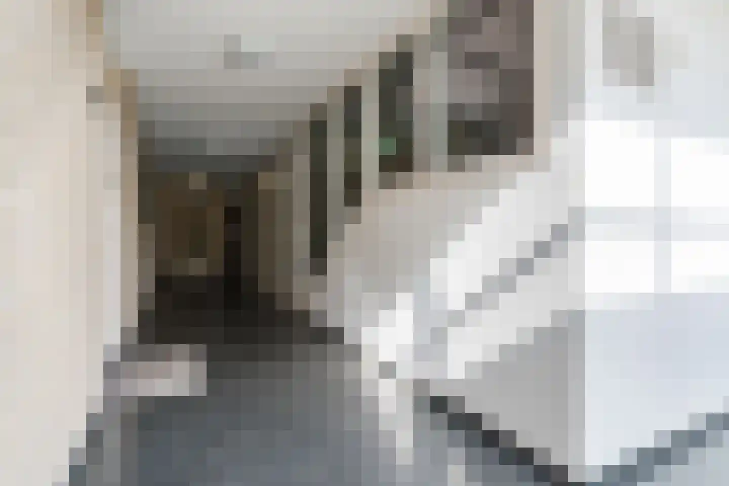 Antwerpsebaan 12 Valkenswaard thumbnail 10