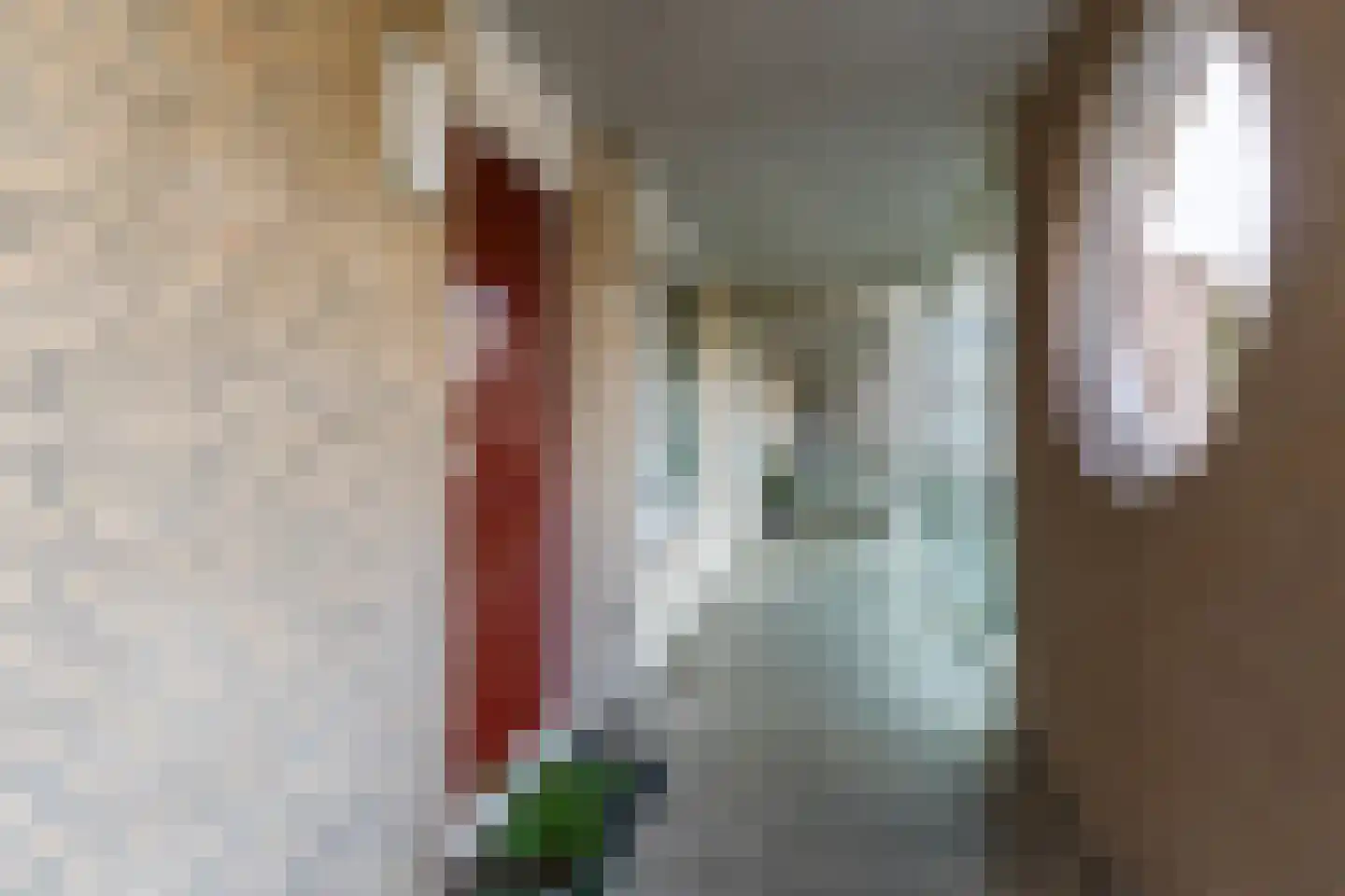 Antwerpsebaan 12 Valkenswaard thumbnail 13