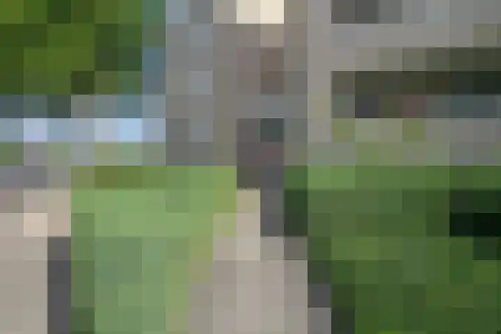 Antwerpsebaan 58 Valkenswaard thumbnail 19