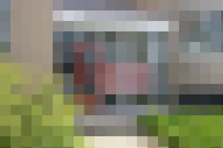 Antwerpsebaan 58 Valkenswaard thumbnail 21