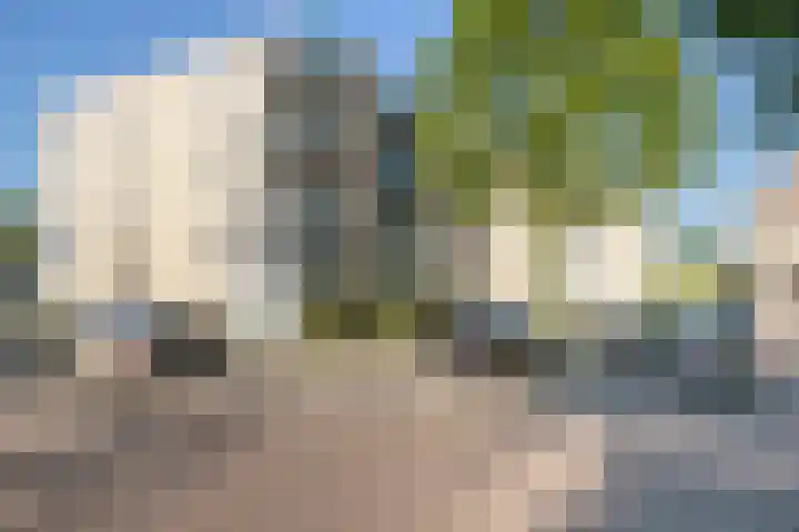 Antwerpsebaan 58 Valkenswaard thumbnail 23