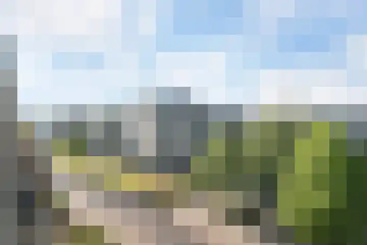 Antwerpsebaan 58 Valkenswaard thumbnail 24