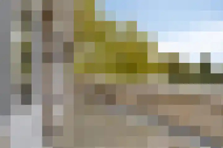 Antwerpsebaan 58 Valkenswaard thumbnail 4