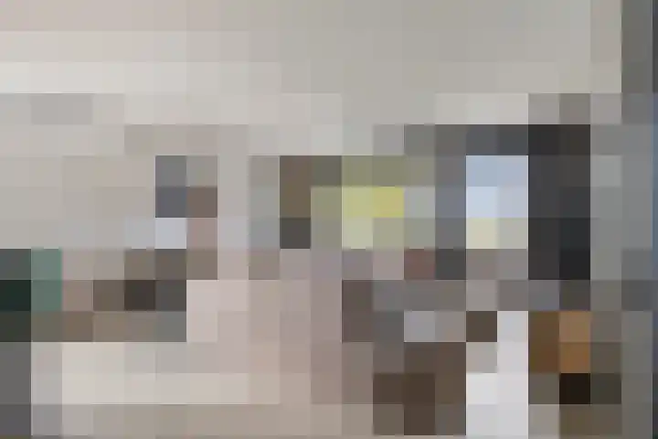Antwerpsebaan 58 Valkenswaard thumbnail 6