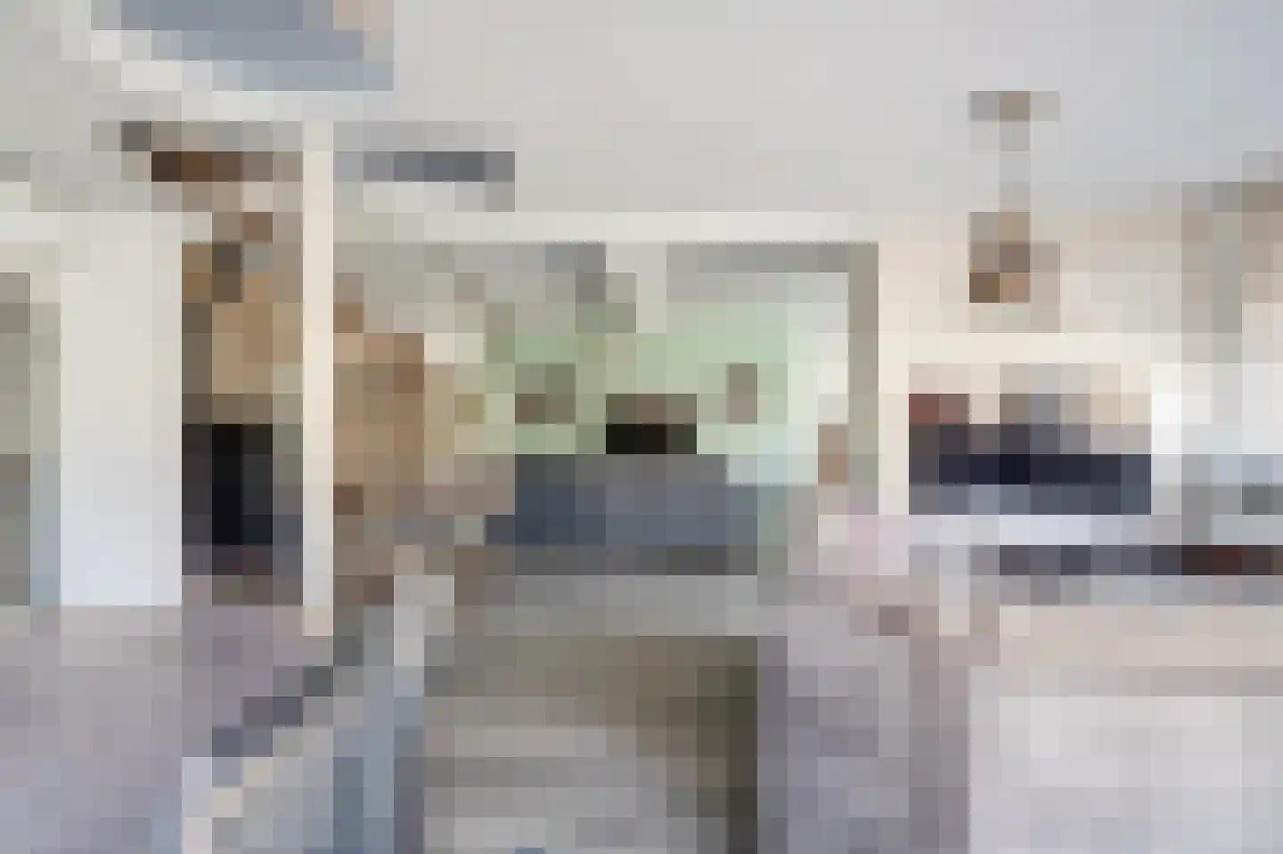 Antwerpsestraat 102 Putte thumbnail 11