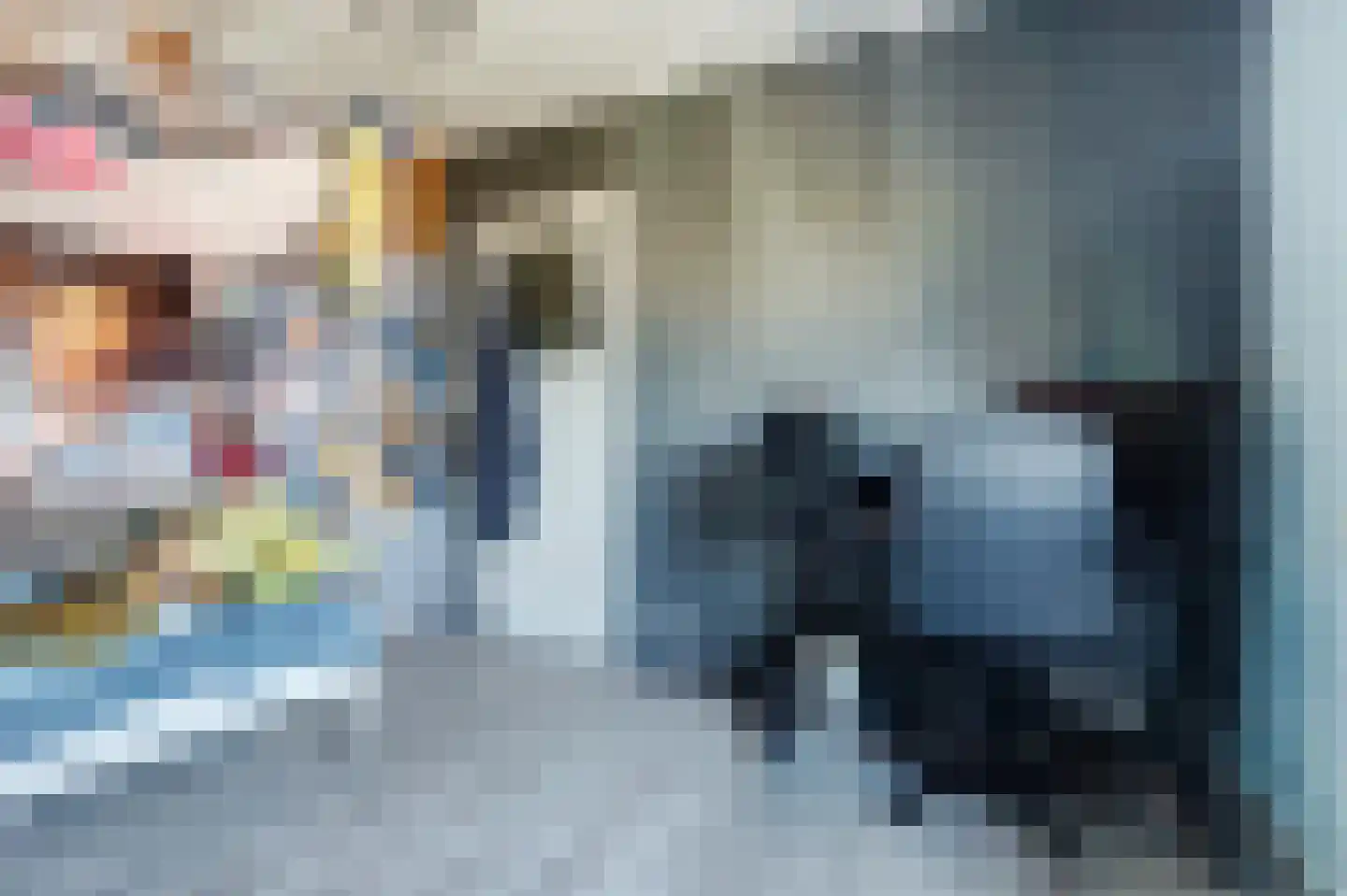 Antwerpsestraat 102 Putte thumbnail 25
