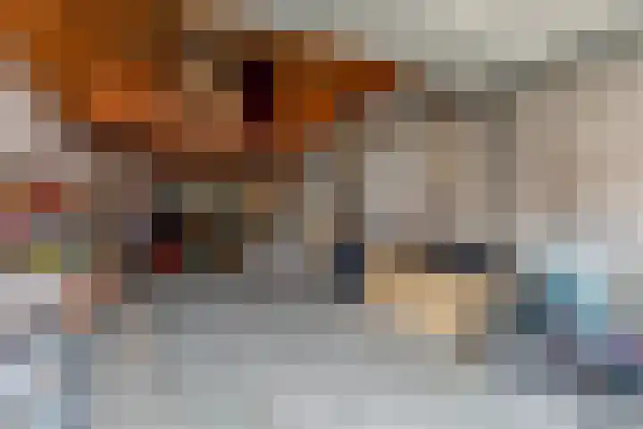 Antwerpsestraat 124 Putte thumbnail 40