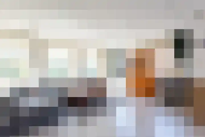 Antwerpsestraat 124 Putte thumbnail 45