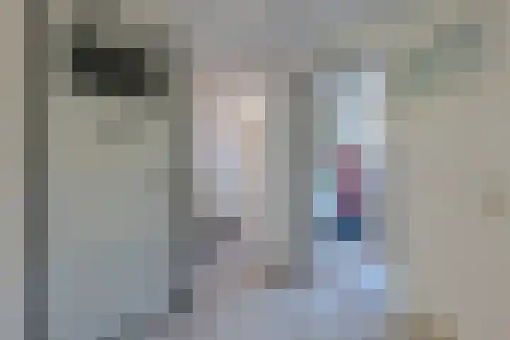 Antwerpsestraat 124 Putte thumbnail 51