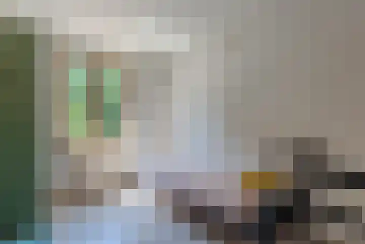 Antwerpsestraat 124 Putte thumbnail 55