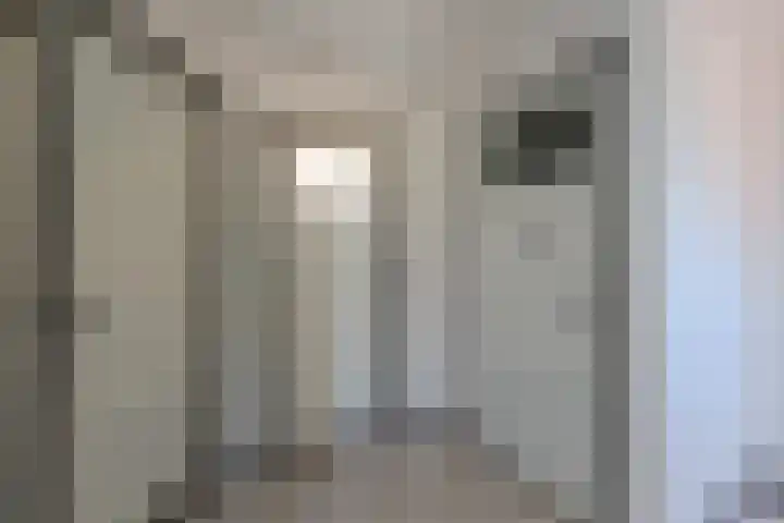 Antwerpsestraat 124 Putte thumbnail 61