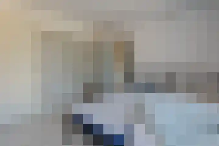 Antwerpsestraat 124 Putte thumbnail 62