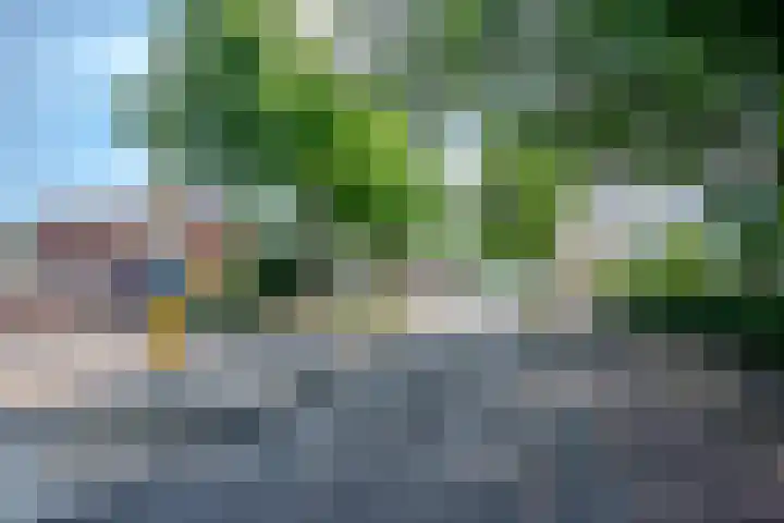 Antwerpsestraat 124 Putte thumbnail 83