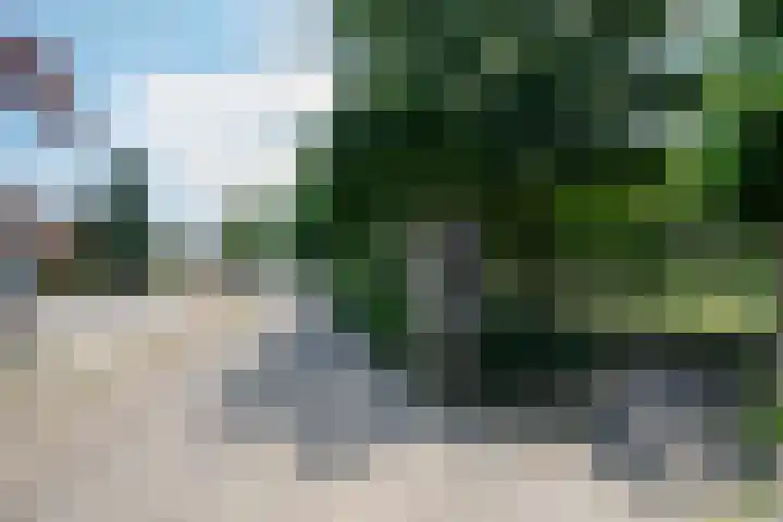 Antwerpsestraat 124 Putte thumbnail 84