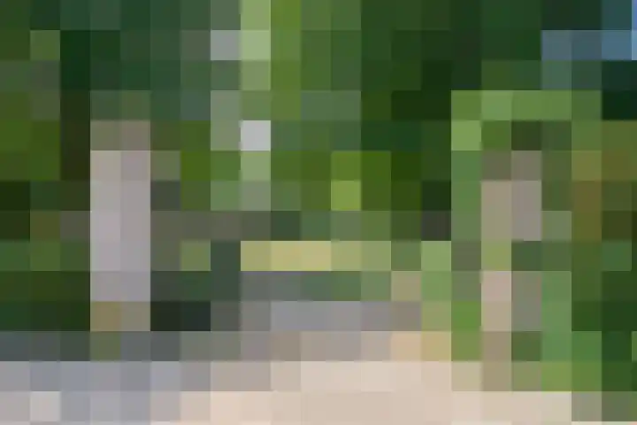 Antwerpsestraat 124 Putte thumbnail 85