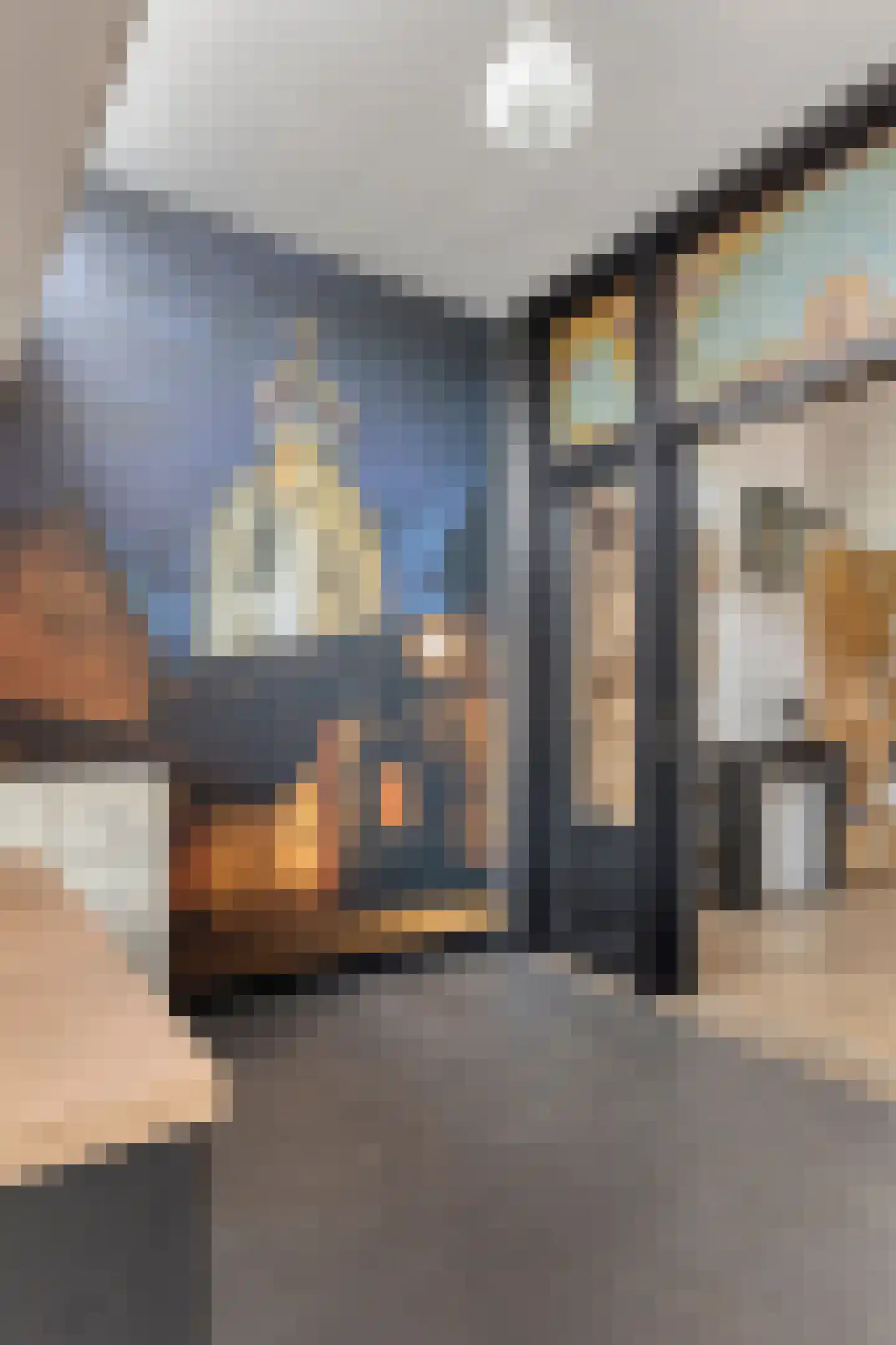 Antwerpsestraat 13 Bergen op Zoom thumbnail 16