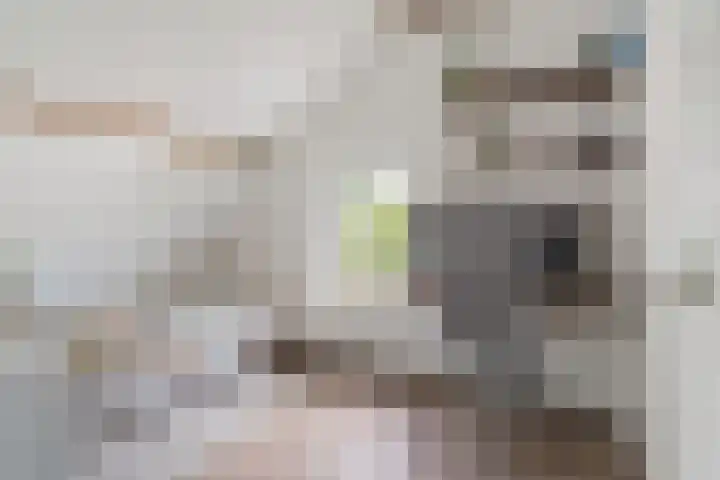 Antwerpsestraat 13 Made thumbnail 25