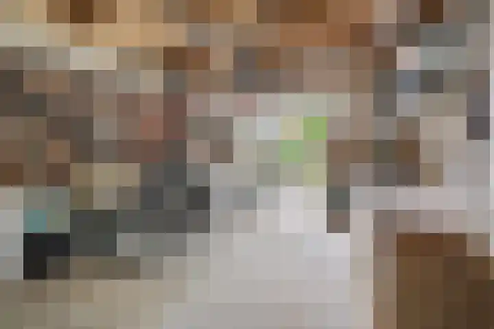 Antwerpsestraat 13 Made thumbnail 32