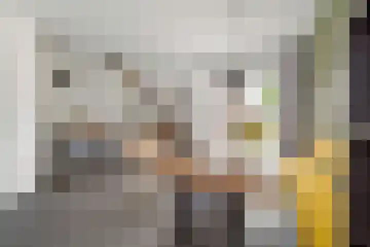 Antwerpsestraat 13 Made thumbnail 9