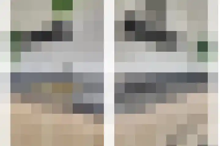 Antwerpsestraat 150 Putte thumbnail 12