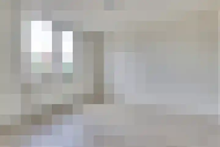 Antwerpsestraat 150 Putte thumbnail 13