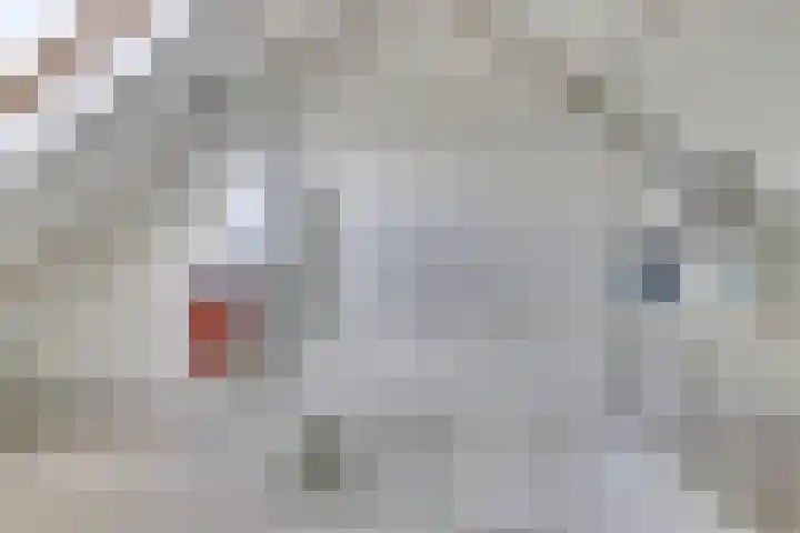 Antwerpsestraat 150 Putte thumbnail 20